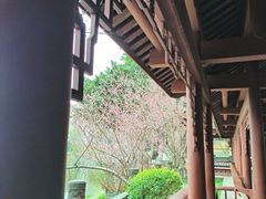 -望江楼公园