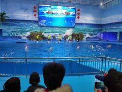 -多彩贵州城极地海洋世界