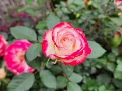 -人民公园(罗湖区)