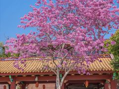 -天竺岩寺