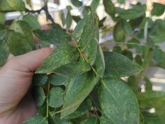 -宋太祖黄袍加身处文管所