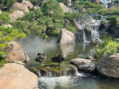 -罗红摄影艺术馆