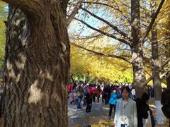 -辽宁大学(崇山校区)