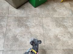 -美联众合动物医院·24h转诊中心