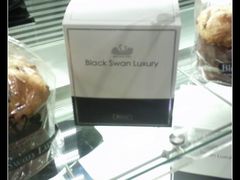 -BLACKSWAN黑天鹅(环球店)
