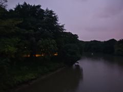 -海珠湖公园