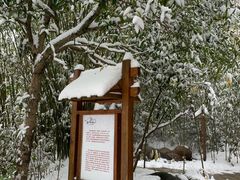 -咸宁万豪温泉谷度假区