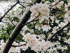 -永乐路-路侧停车场