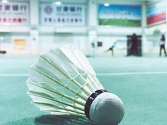 -火星羽毛球游泳乒乓球网球篮球台球滑板轮滑(踏水桥北街店)