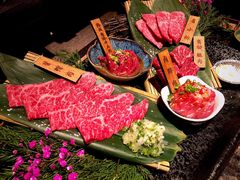 -老乾杯和牛烧肉(王府中环店)