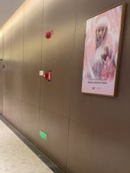 点击看大图 -深圳米兰柏羽医疗美容医院