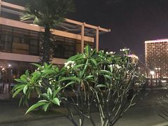 -三亚游船旅游中心(三亚鹿回头游艇游船公共码头店)