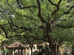 -上海兴国宾馆香樟园西餐厅