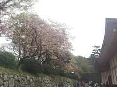-名古屋城