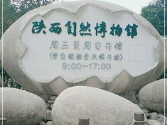 -陕西自然博物馆