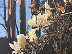 -昆明洲际酒店