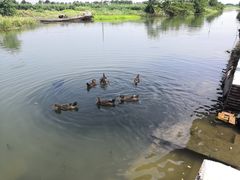 -乡乐园蟹庄·阳澄湖农家乐