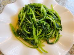 鸡毛菜-文三里屯面馆(三里屯店)