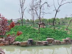 -合肥野生动物园