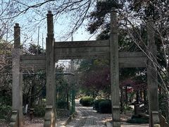 -雨花胜境