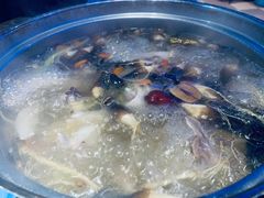 鲜人参锅底-千岛蚝高压锅生蚝·人参火锅(白云万达店)