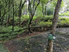 -蟹山公园