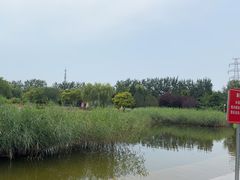 -太阳宫公园