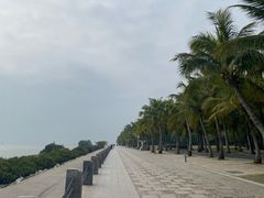 -深圳湾公园(南山区)