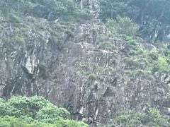 -花岩国家森林公园