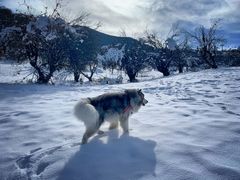 -太子岭滑雪场