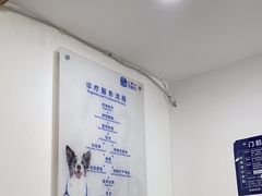 -宠颐生宠物医院·心肾内科·猫专科诊疗中心宠巢店