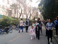 -武汉大学-桂园餐厅