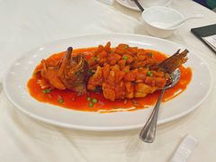 松子鳜鱼-金时代顺风大酒店(临港百联店)