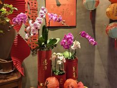 -若蘭慈·无国界素食料理(欢乐海岸店)