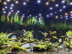 -海合安成都极地海洋公园