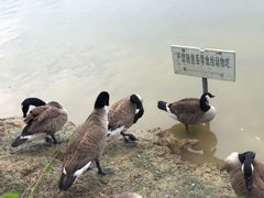 -艾溪湖湿地公园