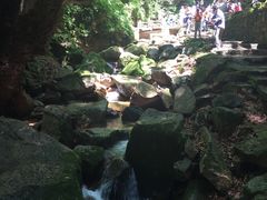 -五女峰国家森林公园