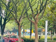 -汤山公园