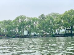 -西湖外事游船(花港观鱼码头)