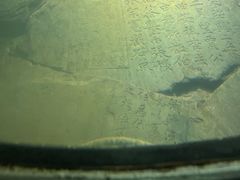 -白鹤梁水下博物馆