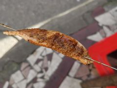 -曾记大腰子烧烤(苗栗路总店)