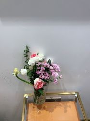 -YESIDO椰岛造型