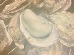 -开心果牛扒城(雍华庭店)