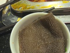 空运绿色毛肚-渝利重庆火锅