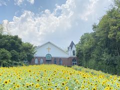 -天目湖涵田度假村