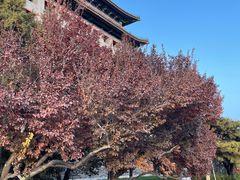 -北京明城墙遗址公园