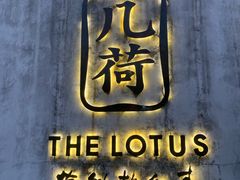 -几荷·恰似故人来(秀水广场店)