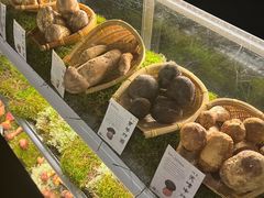 -滇野云南野生菌餐厅(陕西南路店)