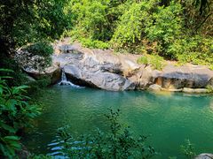 -广州白江湖森林公园