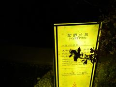 -大连金石滩绿发温泉假日酒店